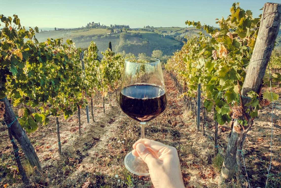 vini biodinamici